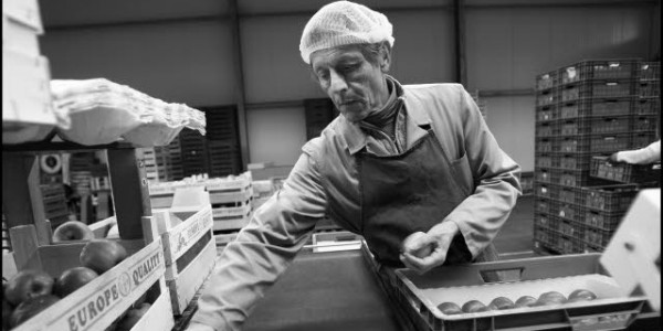 internal market1-2bw