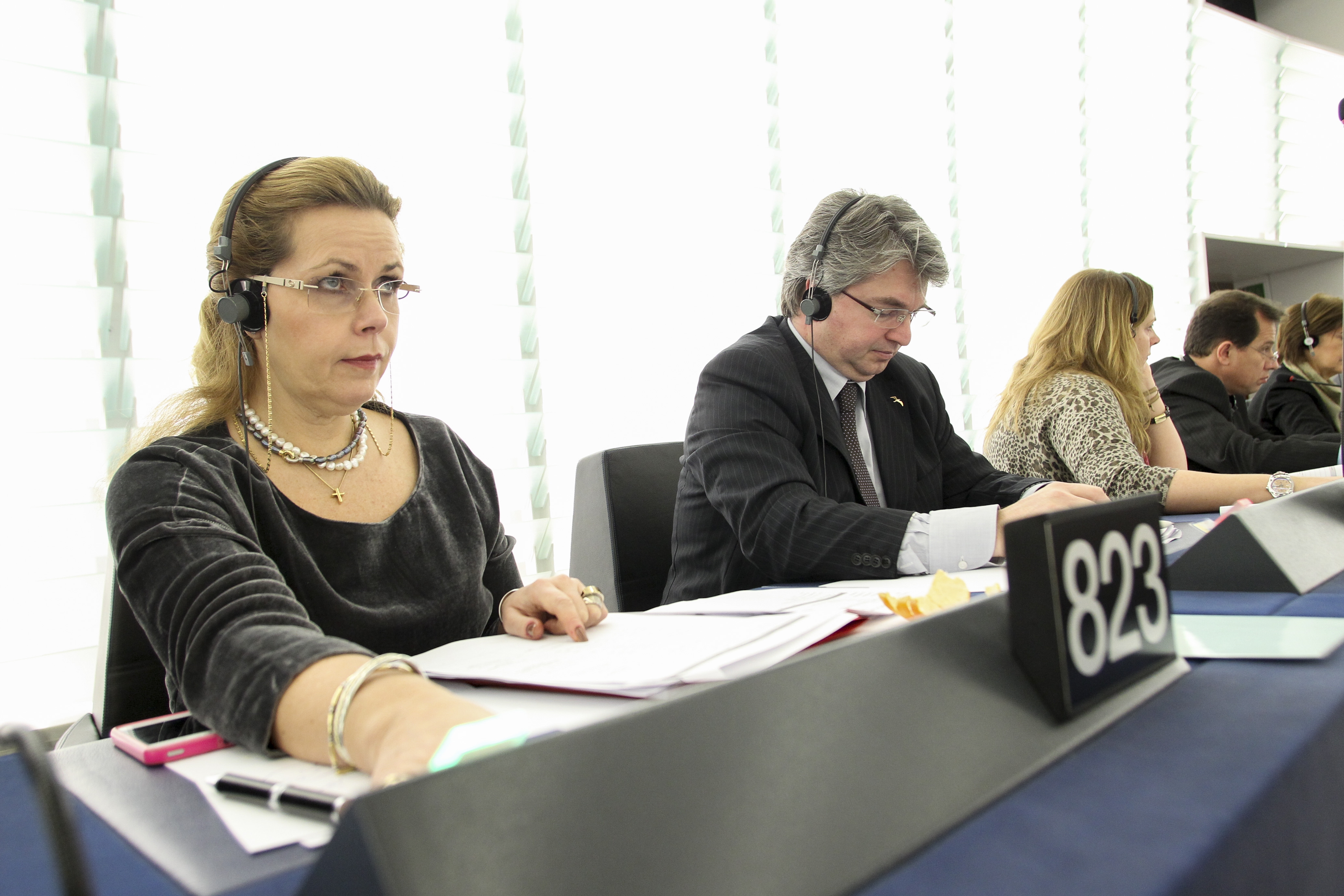 Plenary Sesion Week 50 2012