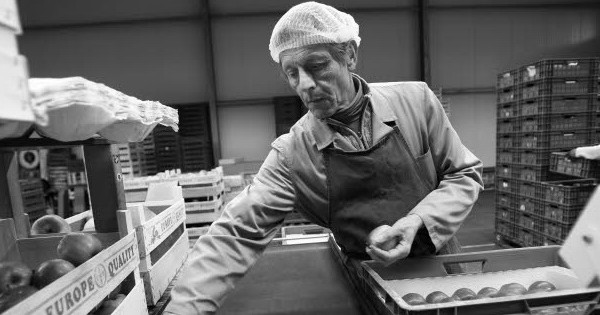 internal market1-2bw