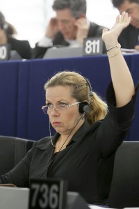 Plenary Session week 24 2013 - Joint debate - Financial statements