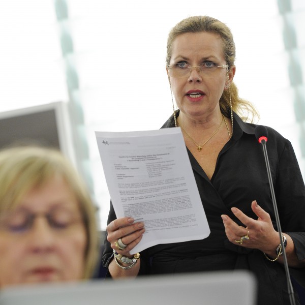 Plenary Session week 24 2013 - Joint debate - Financial statements