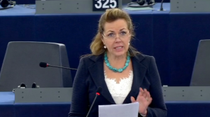 speech borders strasbourg